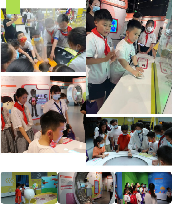 165233-160809.jpg 163207-100160.jpg