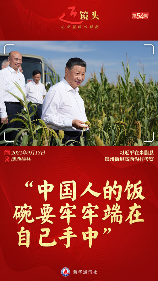 085821-120781.jpg 1128813738_16572733237431n.jpg