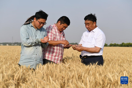 095235-898933.jpg 1128905358_16601401014721n.jpg