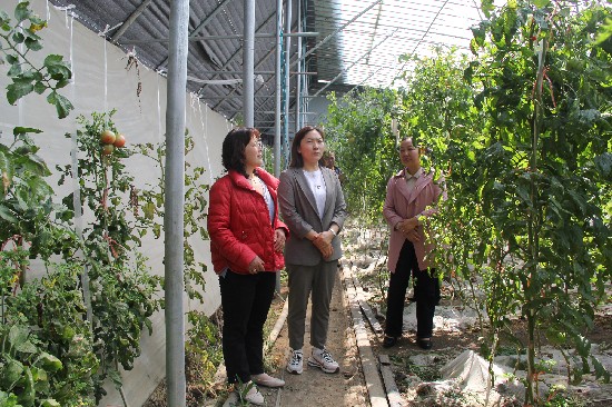 170409-752496.jpg 12_副本.jpg