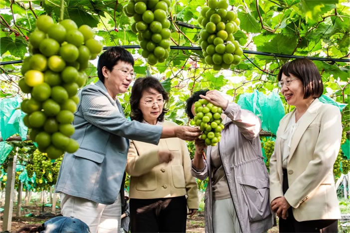 082031-482773.jpg 1.jpg