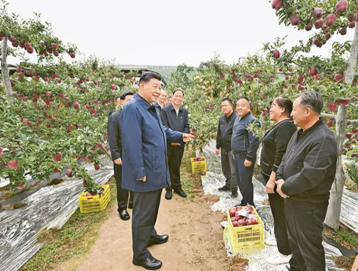 052449-877805.jpg 3.jpg