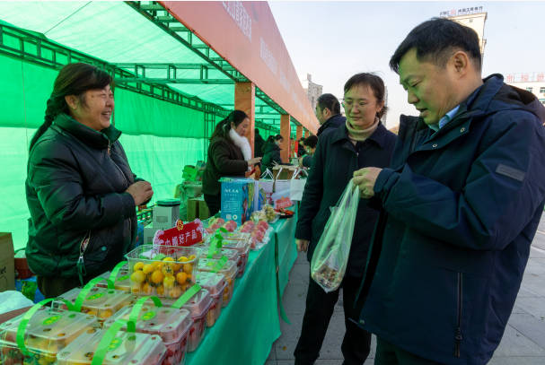 173553-264688.png 173553-264688.png