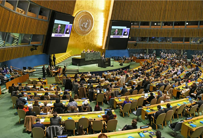 231204-496156.jpg 1.jpg