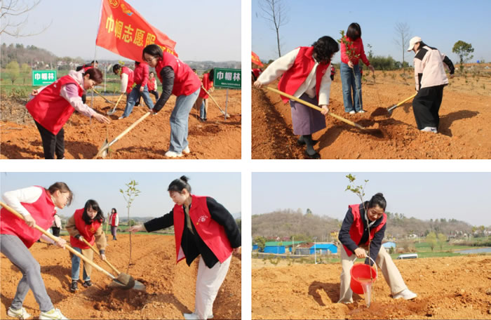 105952-580068.jpg 11.jpg